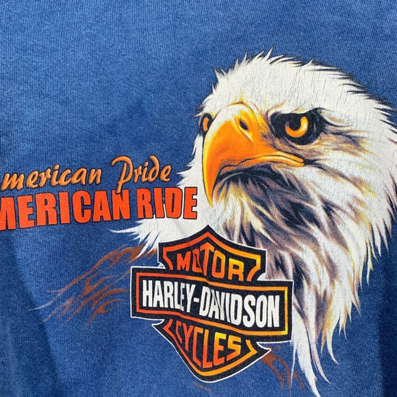 Harley Davidson Flaming Gorge Men’s Sweatshirt - Picture 4 of 13